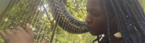 Compostion experiments with Harp